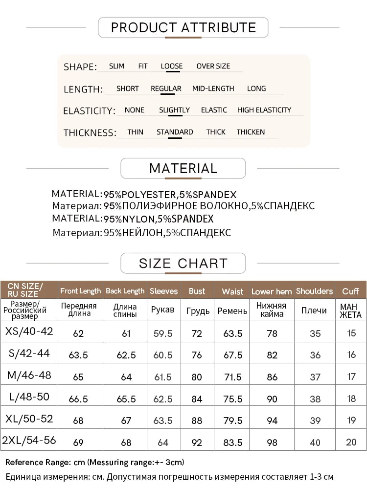 AMII Minimalism Long sleeve T-shirts for Women 2025 Autumn New Bottoming Shirt Mesh Printing Inside Slim Trendy Tops 12421003